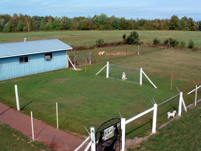 bird's eye view of the Peever's Kennels grounds